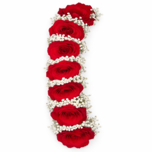 Premium Imported Red Roses with White Gypsophila Jipso Flower Hair Garland for Bridal Mehndi - Gull Flowers Karachi